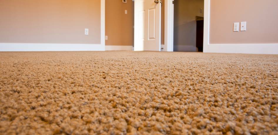 Cleaning The Carpets Cleaning The Carpets
